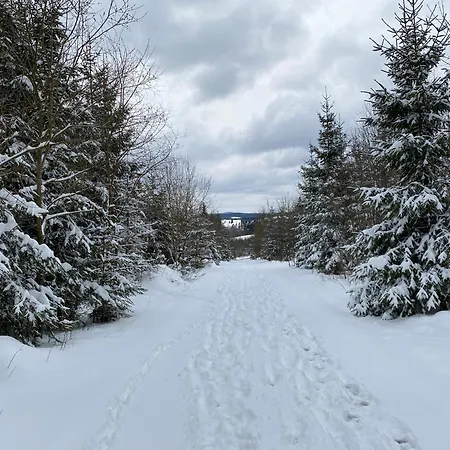 Apartmán Unterm Dumel In Winterberg