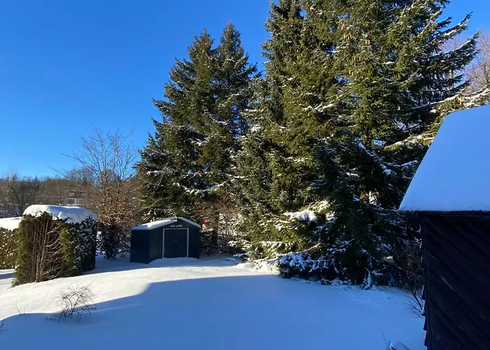 Unterm Dumel In Winterberg