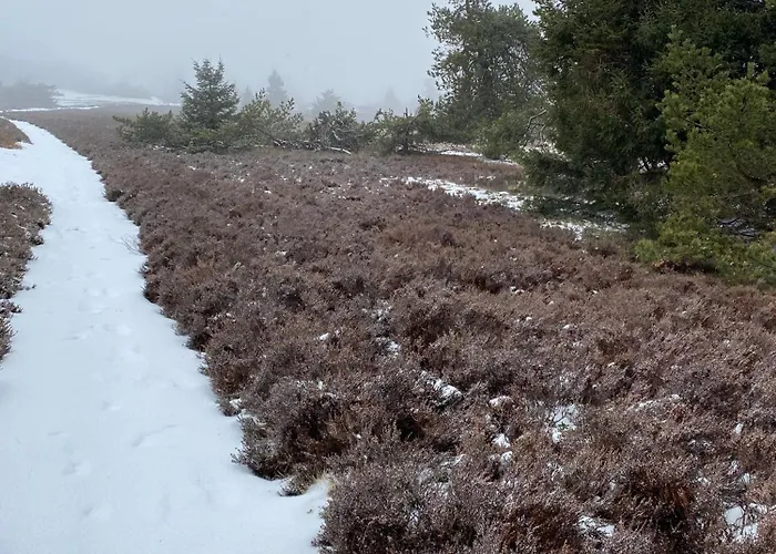 Daire Unterm Dumel In Winterberg