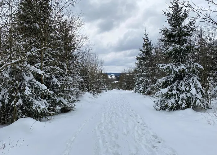 Daire Unterm Dumel In Winterberg